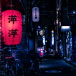 Japan Digital Nomad Visa